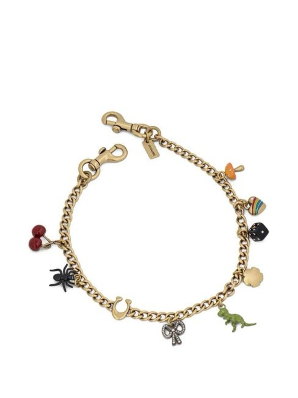 Coach Chain Strap With Charms CCD30 New